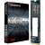 SSD NVMe GIGABYTE 256GB PCIe GEN3 X4 M.2 2280